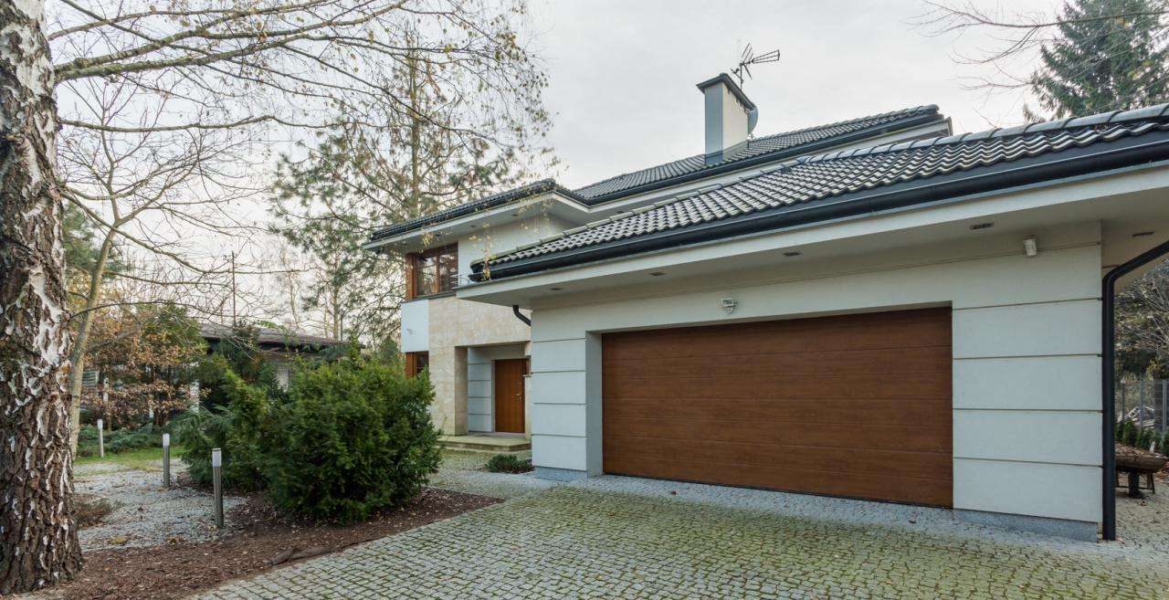 drive-e1745869063219